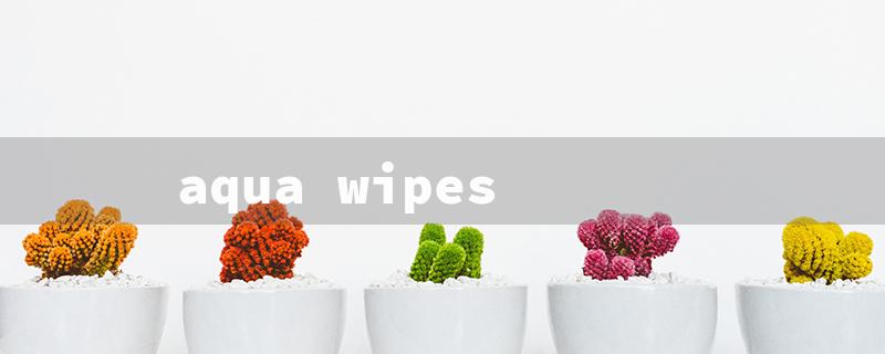 aqua wipes（Aqua Wipes for Pampers）