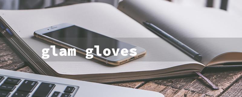 glam gloves（Stylish Dish Gloves）