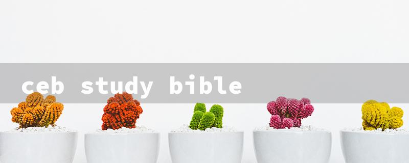 ceb study bible