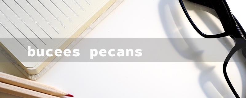 bucees pecans（Buc-ee's Pecans）