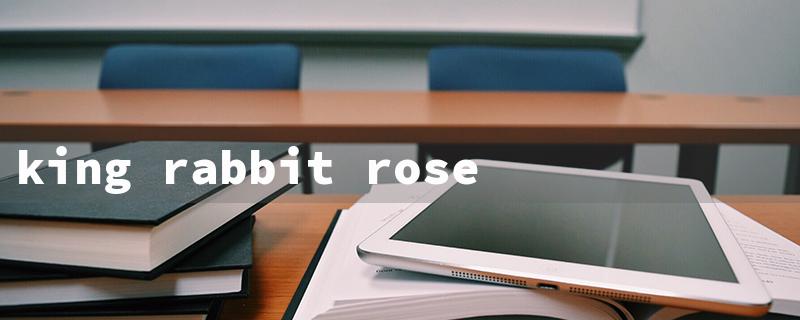 king rabbit rose（King Rabbit Rose '22）