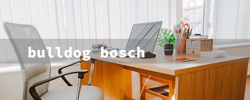 bulldog bosch（Bosch Bulldog Xtreme）