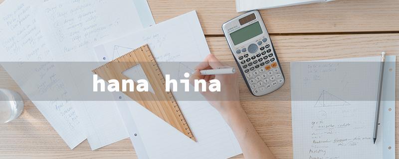 hana hina（Hana Hibachi: Sizzling Japanese Cuisine）