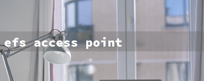 efs access point（EFS Access Point vs Mount）