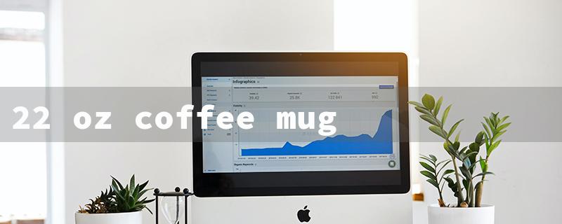 22 oz coffee mug（22 oz Travel Mug）