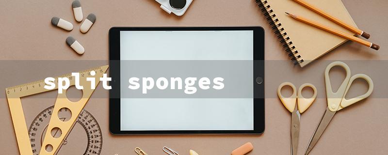 split sponges（Split Sponges 4x4）