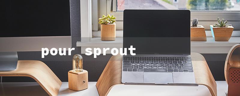 pour sprout（Pour Spouts Explained）