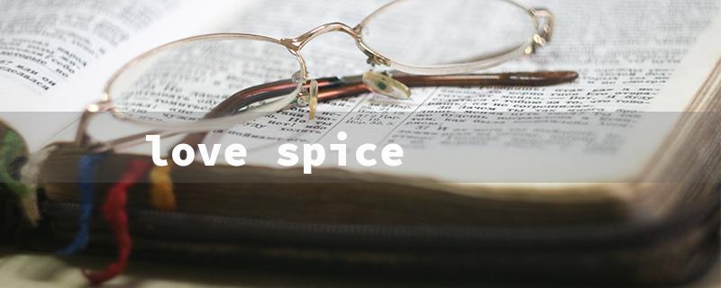 love spice（Love Spice Recipe）