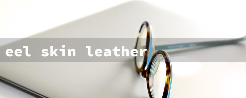 eel skin leather（Possible title: Eel Skin Jacket）