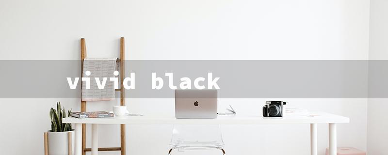 vivid black（Intense Black Paint）