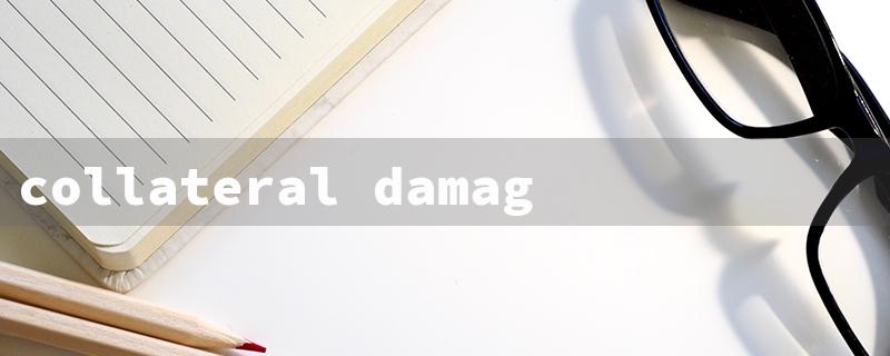 collateral damage book（Collateral Damage Review）