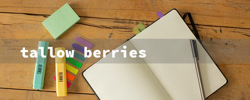 tallow berries（Tallow Berry Wholesale）