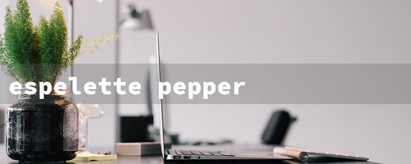 espelette pepper powder（Espelette Pepper Sub）