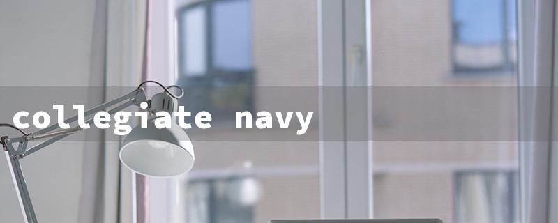 collegiate navy color（College Navy: Title Word Requirements）