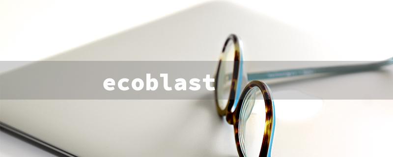 ecoblast（Ecoblast Air Horn Eco Air Horn）