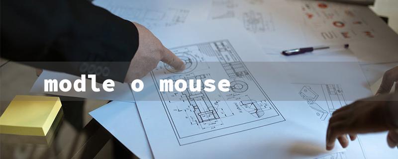 modle o mouse（Model O Mouse: Title Word Requirements）