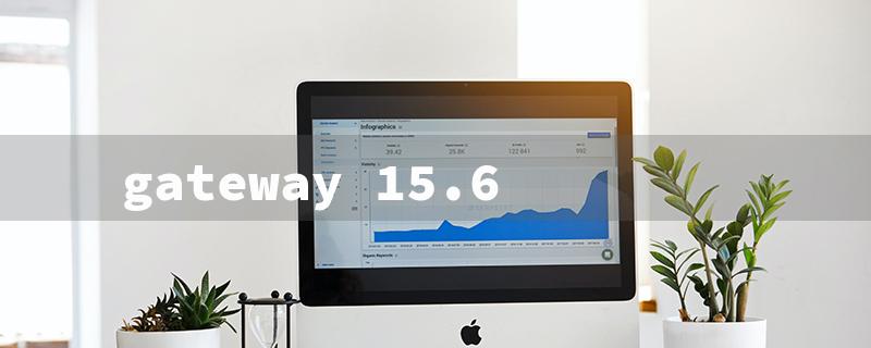 gateway 15.6（Gateway 15.6 Ryzen 3）