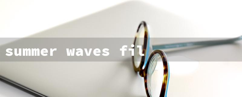 summer waves filter cartridge（Summer Waves Filter D）