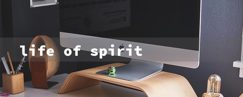 life of spirit（Life Beyond: Spirit World）