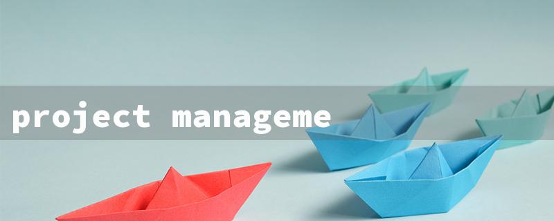 project management for non project managers