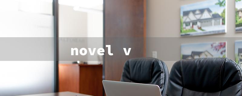 novel v