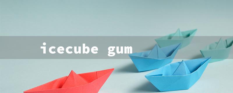 icecube gum（Chewy Ice Gum）