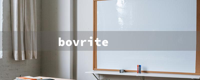 bovrite（Bovril or Bovrite: The Battle）