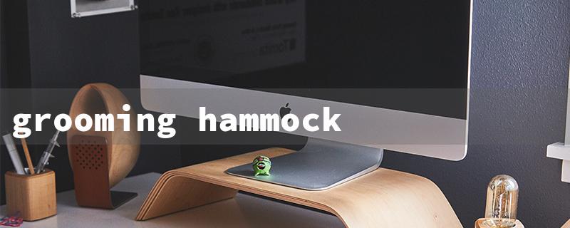 grooming hammock for cats