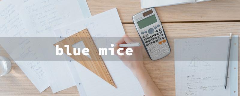 blue mice（Blue Mice Query: Word Limit - 15 Characters）