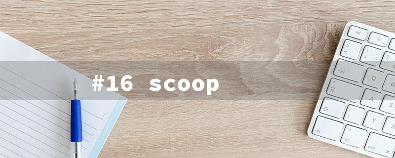 #16 scoop（16 oz Scoop - Title Requirement: 15 Characters）