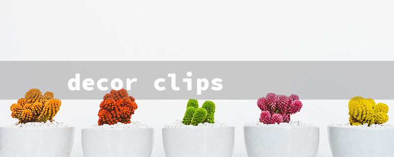 decor clips（Outdoor Light Clips）