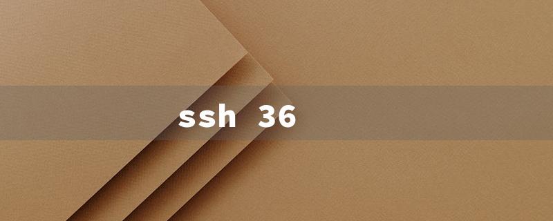 ssh 36（SSH-36 Helmet for Sale）