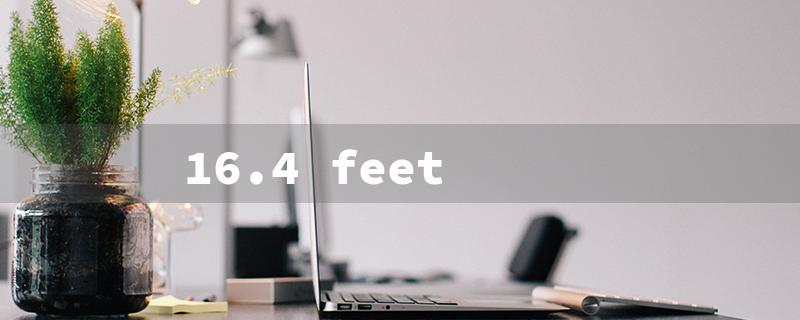 16.4 feet（5 Meters: Title Word Limit）