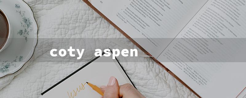 coty aspen（Coty Aspen Cologne）