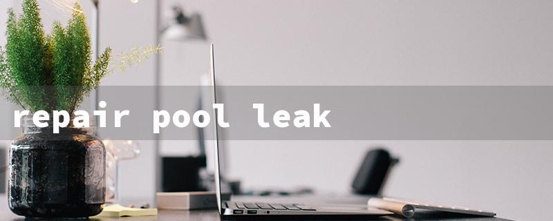 repair pool leak（Fixing Pool Leaks Underwater）