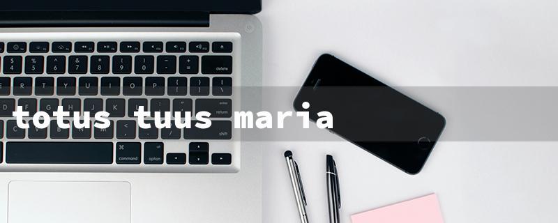 totus tuus maria（Meaning of Totus Tuus Maria）