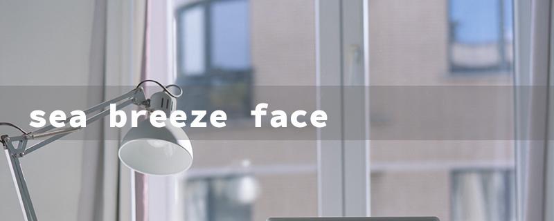 sea breeze face（Sea Breeze Toner）