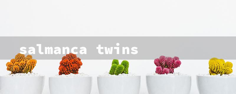 salmanca twins（Salamanca Twins: Title Word Limit - 15 Characters）