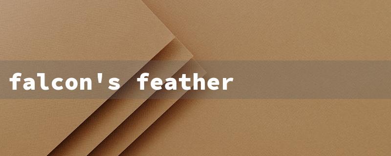 falcon's feather（Falcon's Feather Feather Quest）