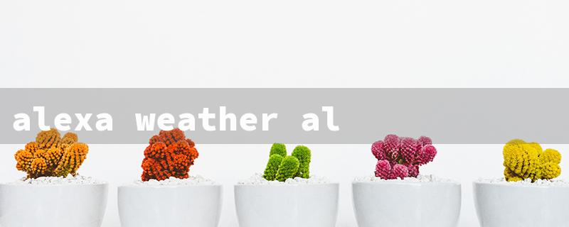 alexa weather alerts wrong location