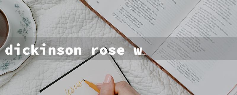 dickinson rose water toner