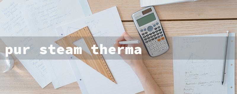 pur steam therma pro 211（Thermapro 211: Title Word Requirements）