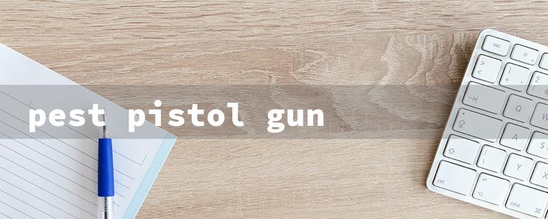 pest pistol gun（Top Pistol Safe Picks）