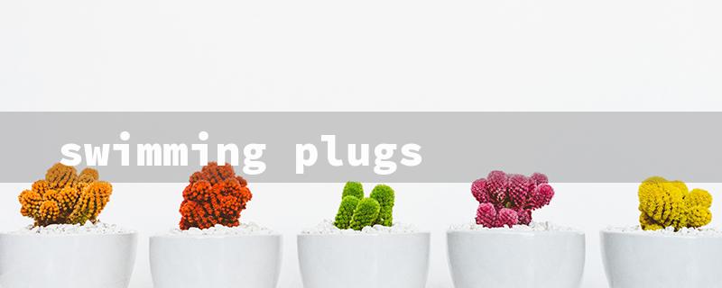 swimming plugs（Swim Plugs for Fishing）