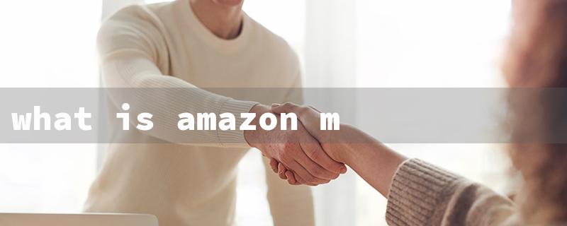 what is amazon mktp charge（The title of the article could be: Understanding AMZN MKTP Charges）