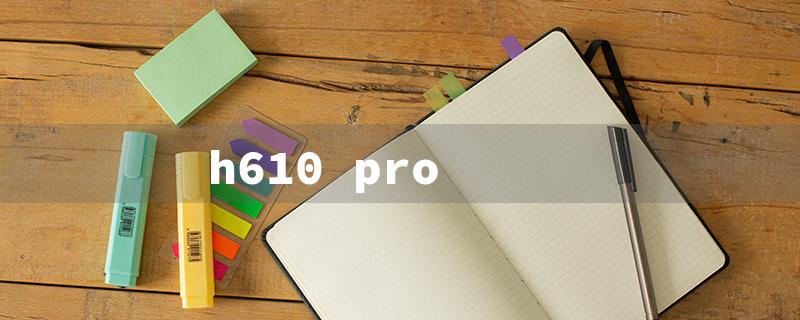 h610 pro（H610 Processor Support）