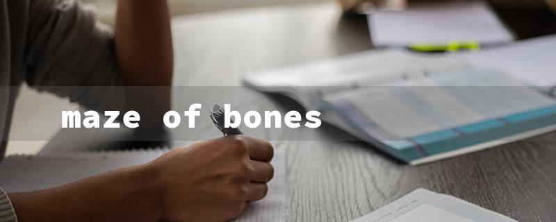 maze of bones（Maze of Bones GN）