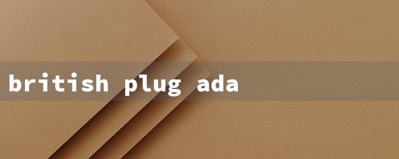 british plug adapter（UK Plug Adapter: Affordable）