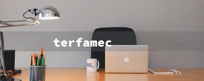 terfamec（Terfamex: Title Word Requirements in 15 Characters）