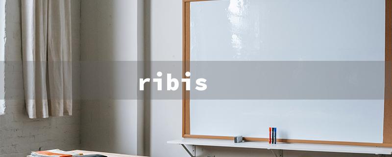 ribis